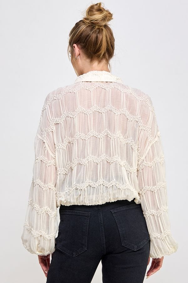 Allie Rose Romantic Sheer Long Sleeve Chevron Textured Button Front Top