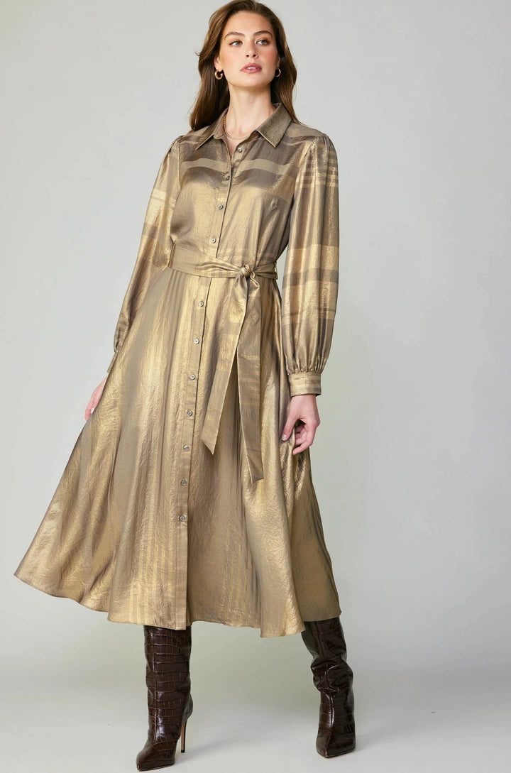 Current Air Long Sleeve Button Down Shirt Dress with Self Tie