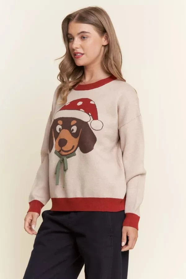 Dachshund Wearing Christmas Hat Holiday Sweater