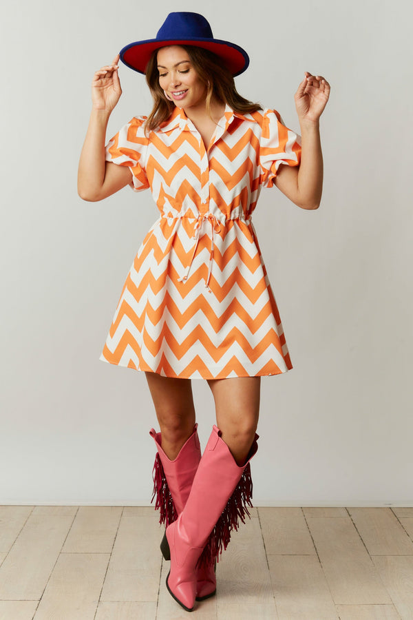 Fantastic Fawn Chevron Printed Shirt Skater Dress with Puff Sleeves