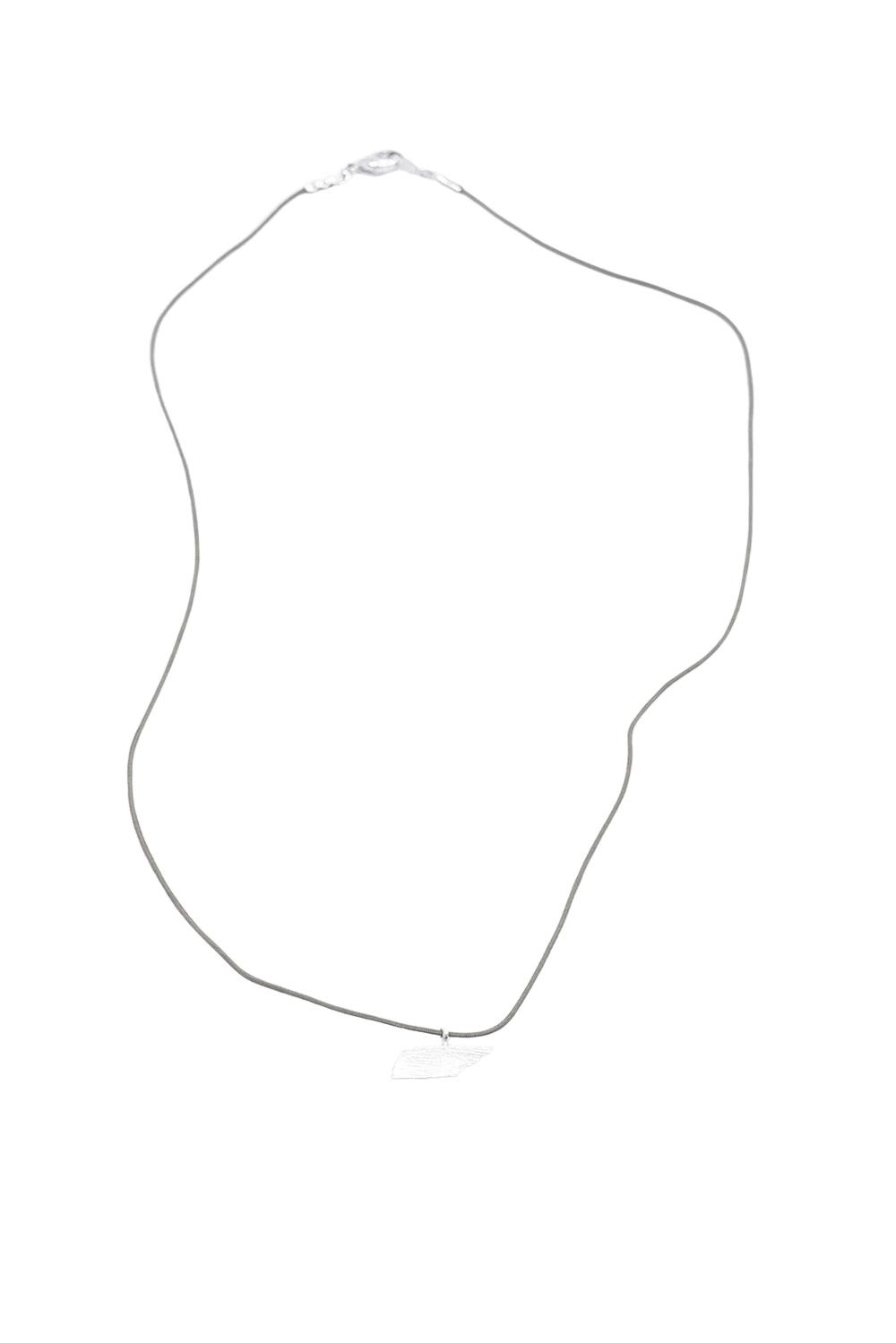 Tennessee State Charm Cord Necklace
